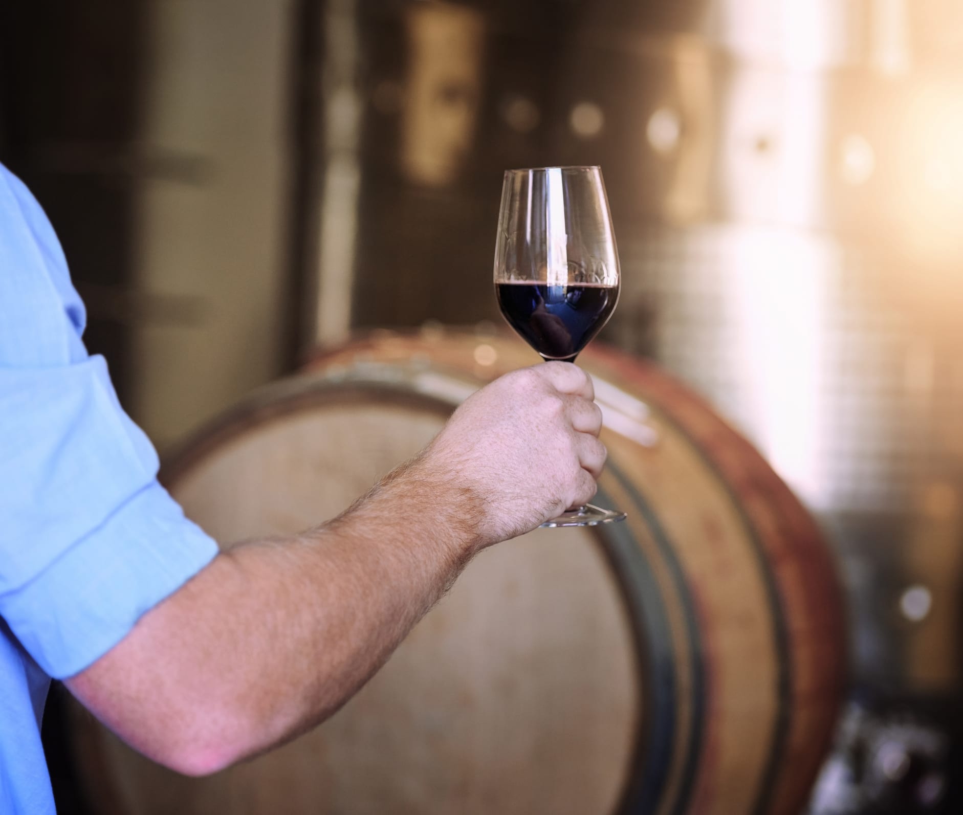 Cropped shot of a man holding a glass of wine in a wine cellar