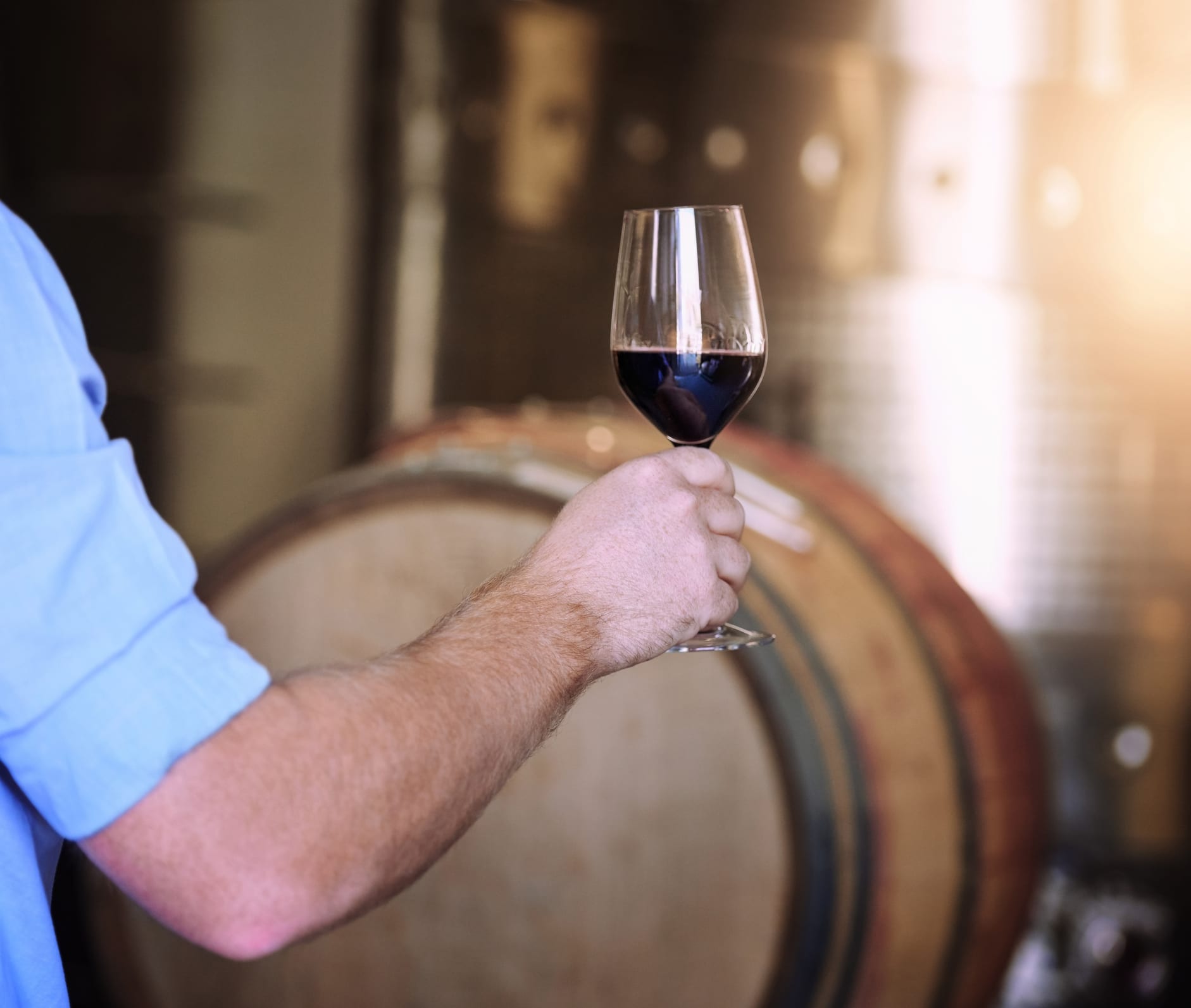 Wine at it’s best Cropped shot of a man holding a glass of wine in a wine cellar